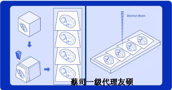 宁河蔡司宁河扫描电镜