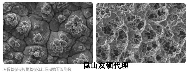 宁河蔡司宁河扫描电镜