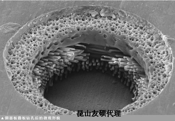 宁河蔡司宁河扫描电镜